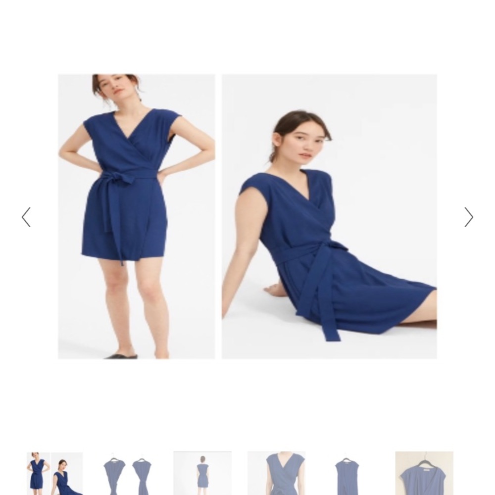 NWT Everlane Japanese Sleeveless Wrap Dress